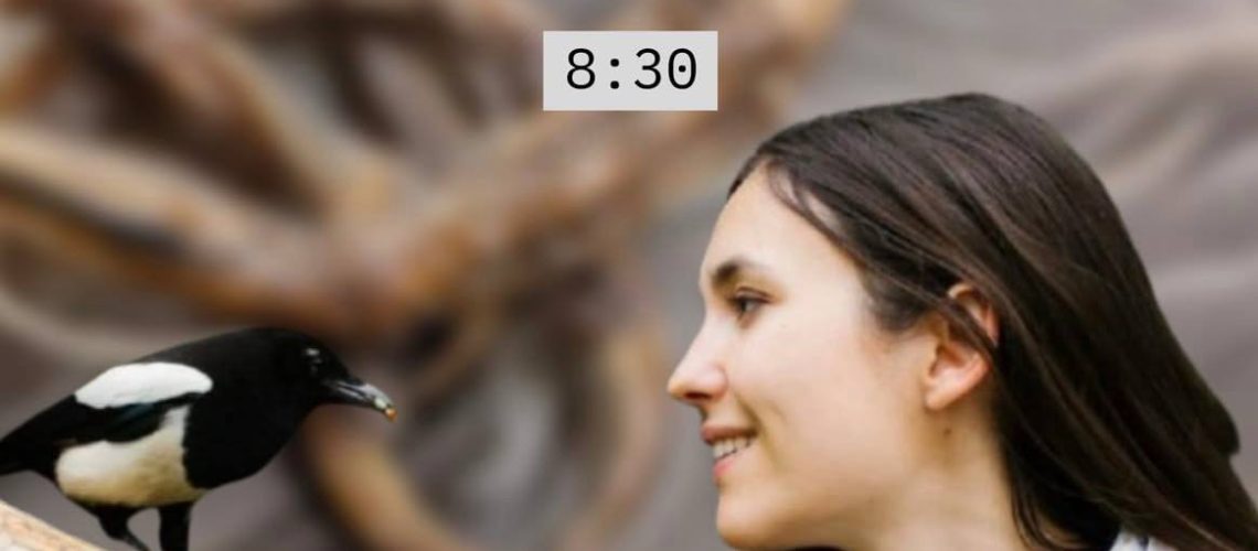 Екскурсія “bird watching” у парку ім.Франка. з біноклями спільно з орнітологинею Ганною Кузьо