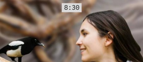 Екскурсія “bird watching” у парку ім.Франка. з біноклями спільно з орнітологинею Ганною Кузьо