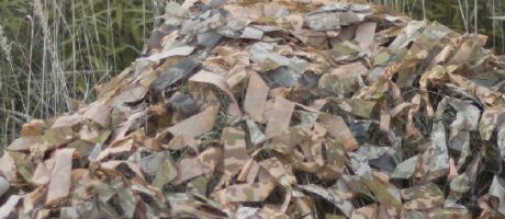 “Камуфлюючи горизонт” Воркшоп колажу Софії Козлової